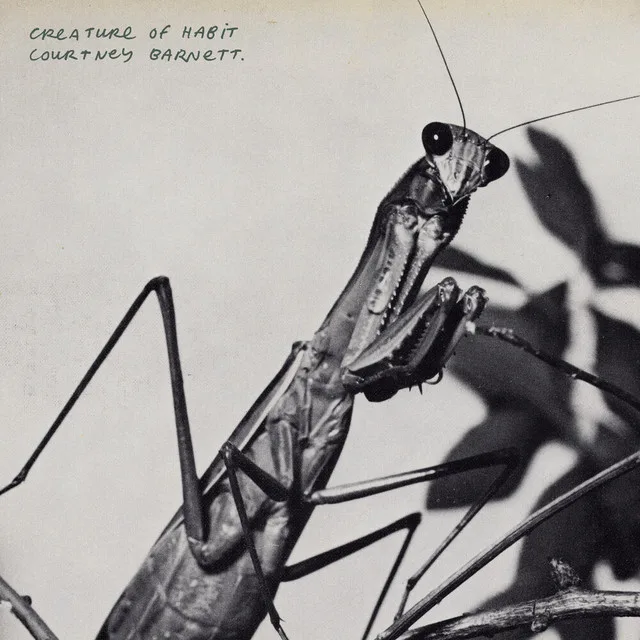 Pochette Courtney Barnett — Creature of Habit